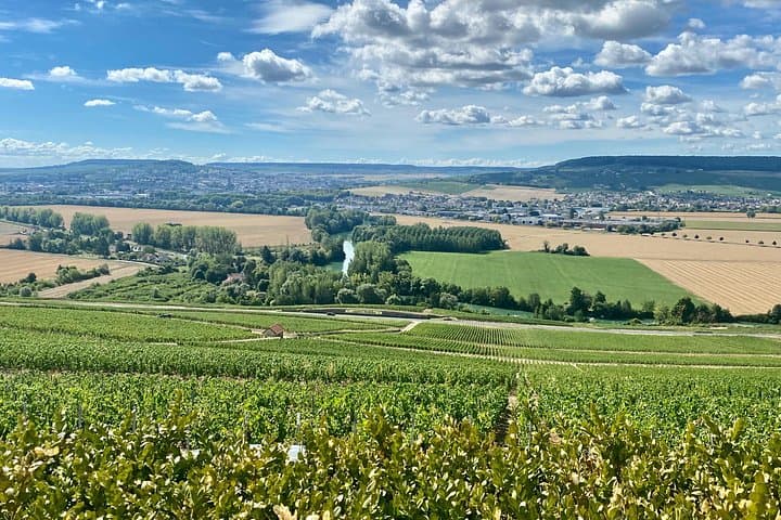 GRAND VINTAGE Moet et Chandon Veuve Clicquot Cellars & Tastings — photo 4