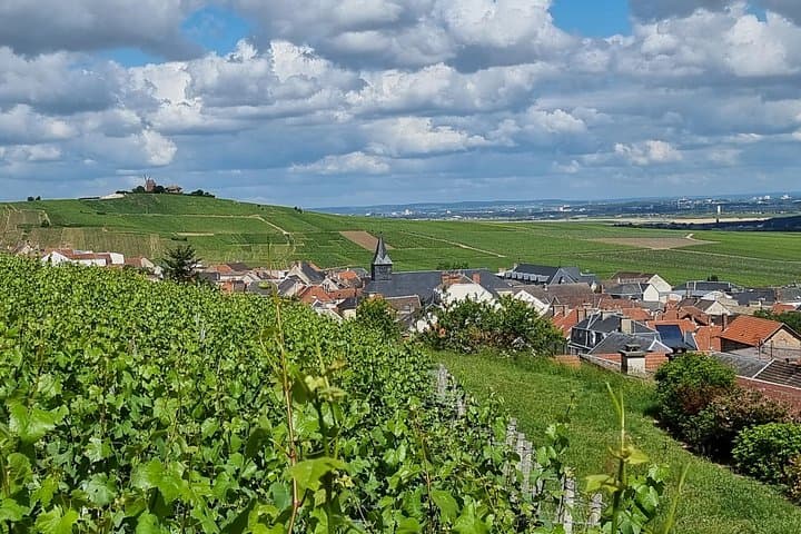 Champagne Region Private Day Trip from Paris — photo 11