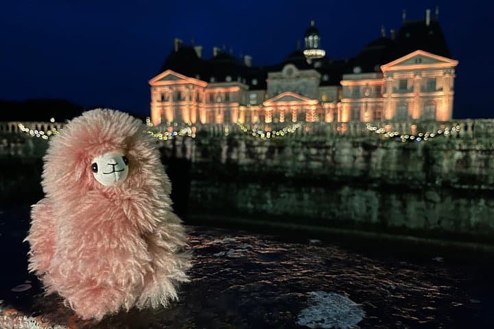 Private Vaux-le-Vicomte Candlelight Half-Day Escape from Paris — photo 11