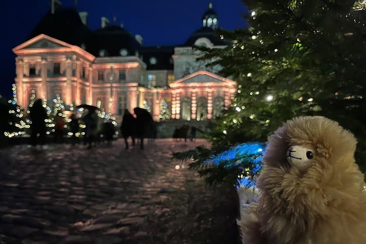 Private Vaux-le-Vicomte Candlelight Half-Day Escape from Paris — photo 10