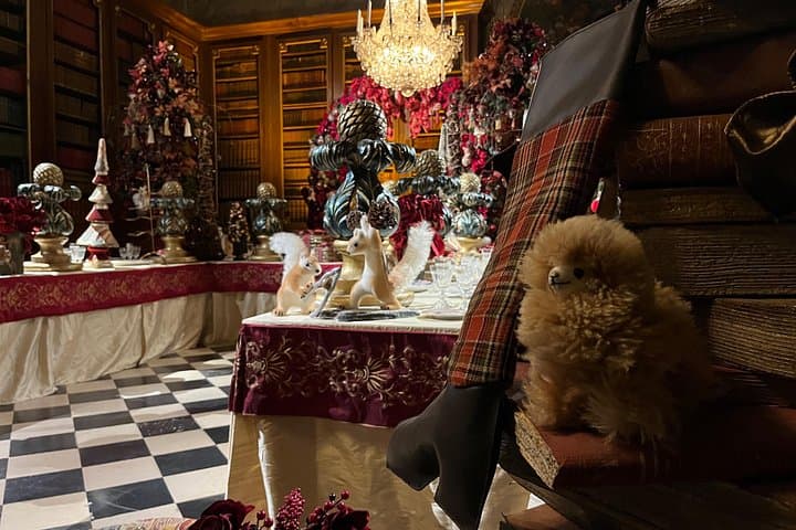 Private Vaux-le-Vicomte Candlelight Half-Day Escape from Paris — photo 16