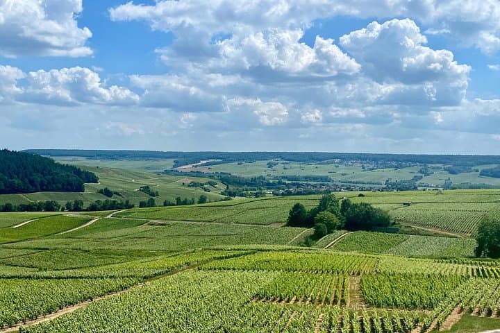 GRAND VINTAGE Taittinger Veuve Clicquot Cellars & Tastings trip — photo 12