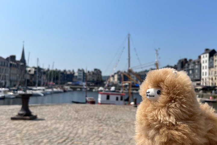 2-Days Customisable Private Guided Tour in Normandy & Brittany — photo 1