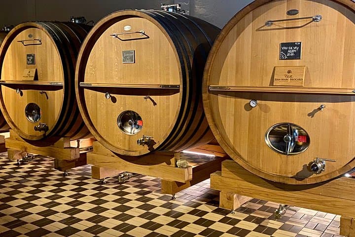 Private Exquisite Red & White Burgundy Wines Trip from Paris — photo 5