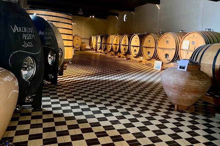 Private Exquisite Red & White Burgundy Wines Trip from Paris — photo 12