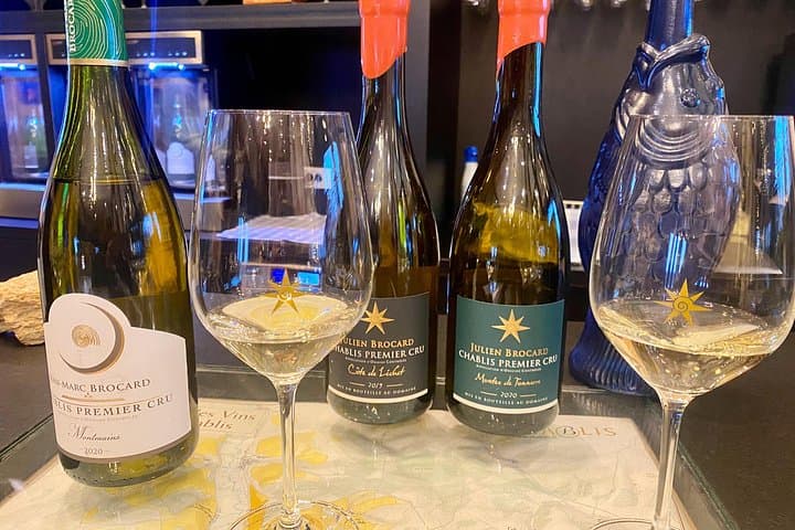 Private Exquisite Red & White Burgundy Wines Trip from Paris — photo 2