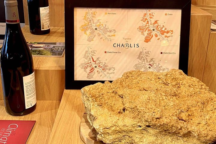 Private Exquisite Red & White Burgundy Wines Trip from Paris — photo 6