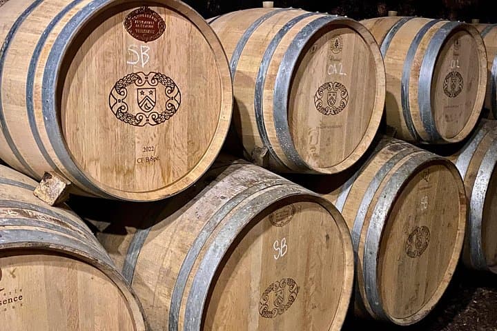 Private Exquisite Red & White Burgundy Wines Trip from Paris — photo 11