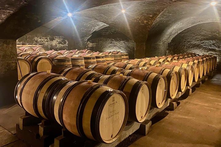Private Exquisite Red & White Burgundy Wines Trip from Paris — photo 16