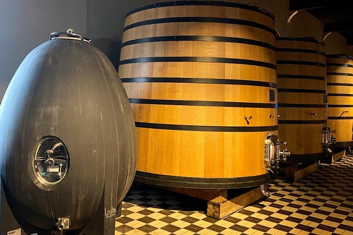Private Exquisite Red & White Burgundy Wines Trip from Paris — photo 13