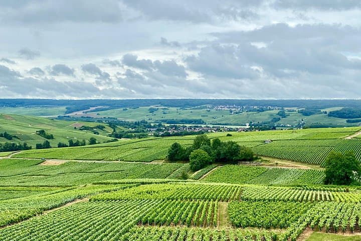 GRAND VINTAGE Taittinger Veuve Clicquot Cellars & Tastings trip — photo 10