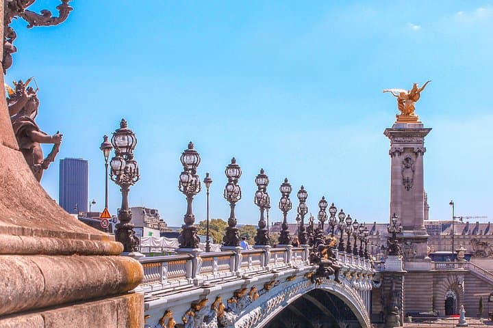 Arc de Triomphe and Champs Élysées Walking Tour — photo 8