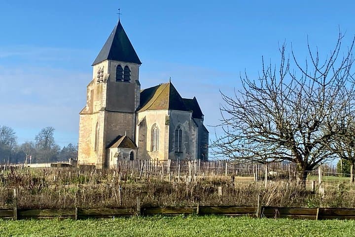 Private Burgundy 3 Domaines Chateau Pommard Chablis 15 Wines Trip — photo 1