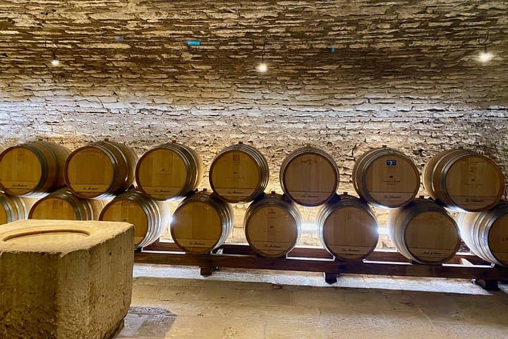 Chablis 20 Exquisite Wines Tasting Trip in Small-Group from Paris — photo 14