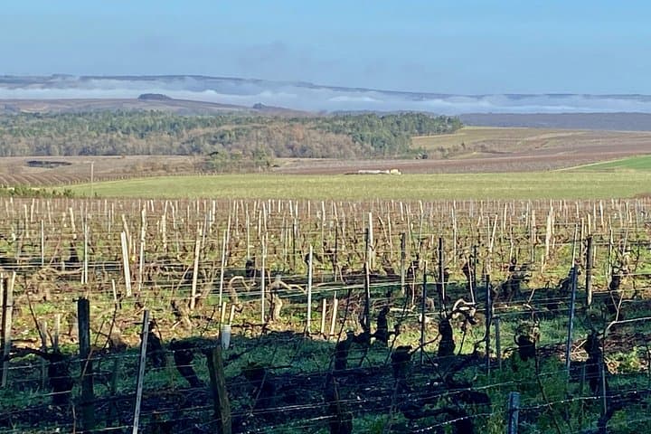 Chablis 20 Exquisite Wines Tasting Trip in Small-Group from Paris — photo 19