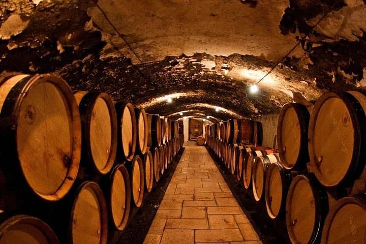 Champagne Region excursion from Paris with Private Driver — photo 1