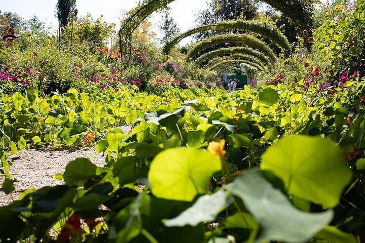 Private day trip from Paris to Giverny with a local driver — photo 6