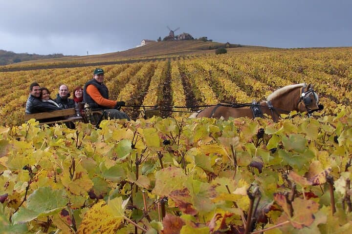 Full Day All-inclusive Tour in Champagne from Paris in a Minivan — photo 1