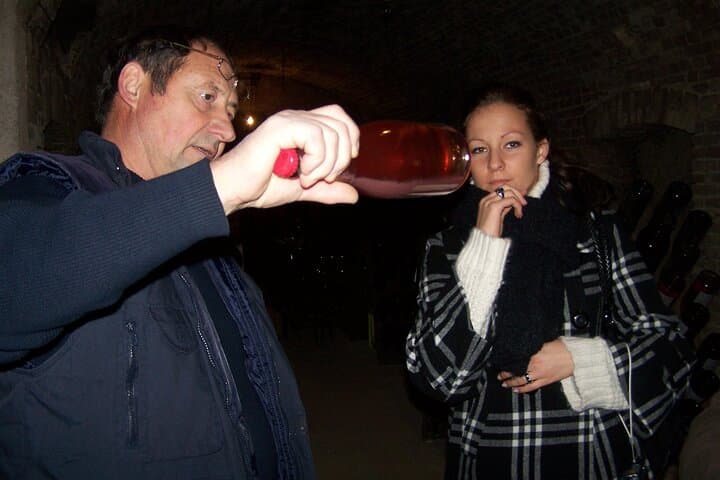 Full Day All-inclusive Tour in Champagne from Paris in a Minivan — photo 9