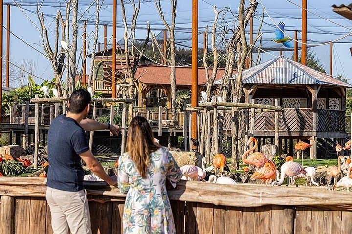 Parrot World Immersive Wildlife Park Entry Ticket next to Paris — photo 1