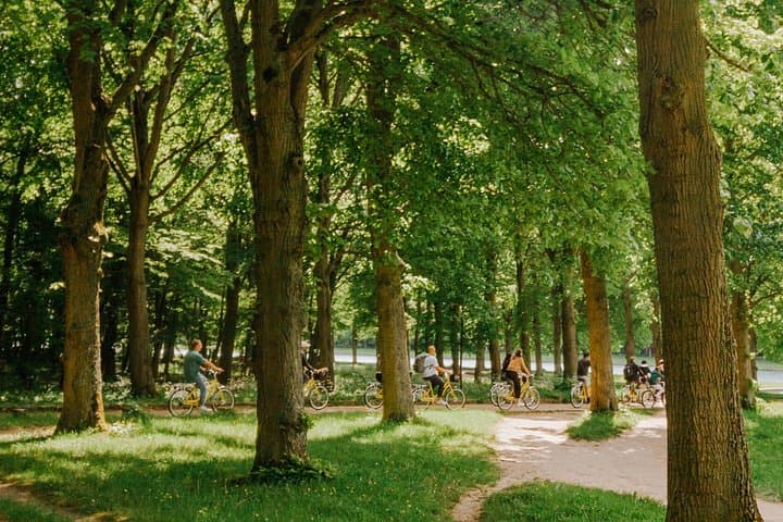 Versailles Bike Tour with Palace Entry by Train from Paris — photo 5