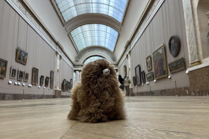 Louvre: All the stars of museum - Private guided 3h tour & entry — photo 2