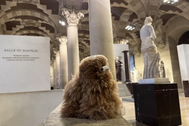 Louvre: All the stars of museum - Private guided 3h tour & entry — photo 7