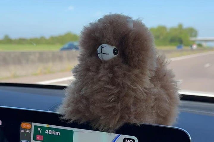 Private Transfer Paris from and to Airport (CDG, Orly, Beauvais) — photo 1