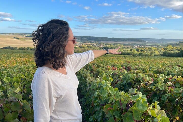 Sancerre Wine Day from Paris with 10 Tastings & Lunch — photo 1