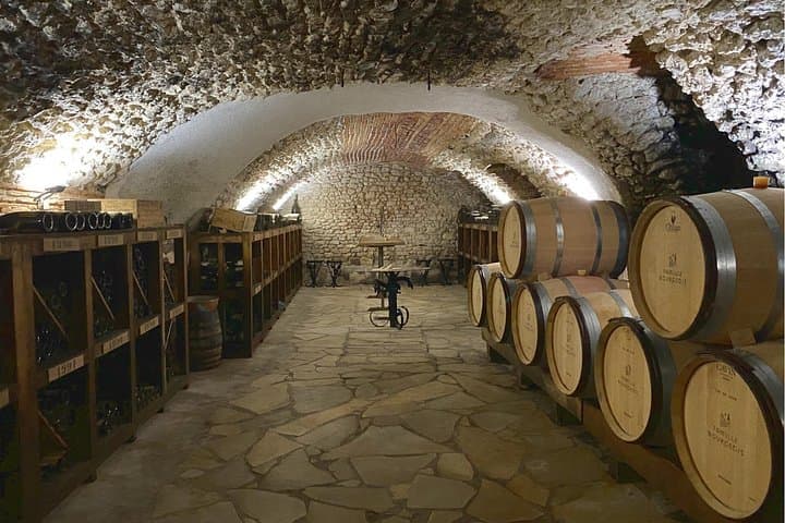 Sancerre Wine Day from Paris with 10 Tastings & Lunch — photo 4