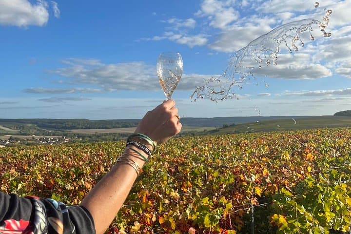 Sancerre Wine Day from Paris with 10 Tastings & Lunch — photo 5