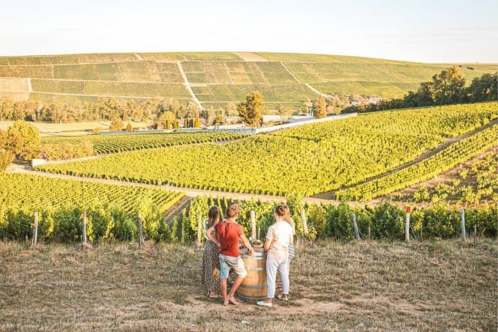 Sancerre Wine Day from Paris with 10 Tastings & Lunch — photo 10