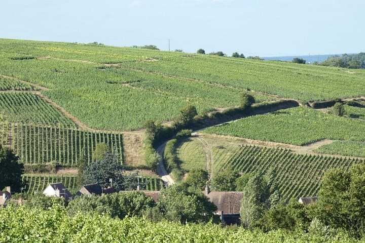Sancerre Wine Day from Paris with 10 Tastings & Lunch — photo 11