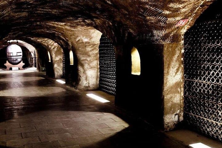 Private Champagne Day Trip from Paris with 7 Tastings & Lunch — photo 12