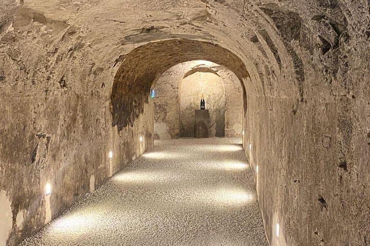 DeLuxe DOM PERIGNON Champagne Tastings Cellars trip from Paris — photo 11