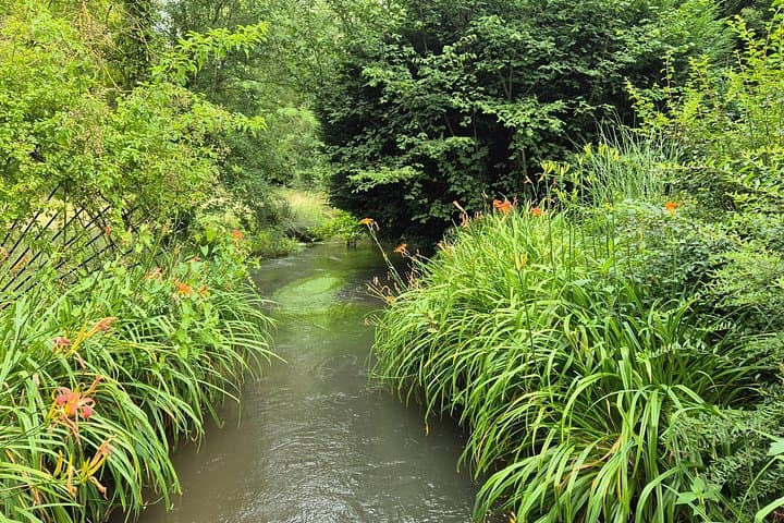 Private Tour in Giverny with Transport from Paris — photo 5