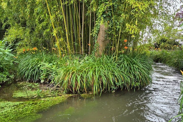 Private Tour in Giverny with Transport from Paris — photo 8