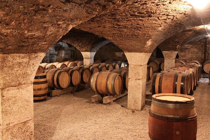 Paris to Reims: Wine Tasting Experience — photo 3