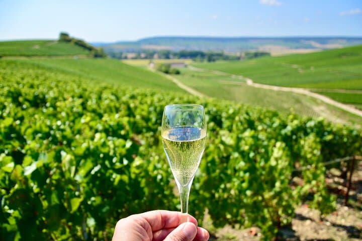 Champagne vineyards & cellars tour with Sommelier from Paris — photo 2