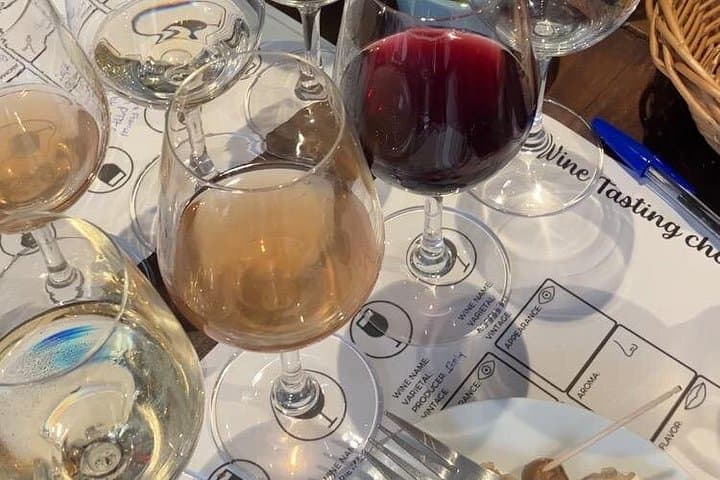Paris Wine Tasting & French Cheese Pairing with Sommelier — photo 6