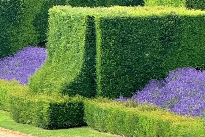 Giverny and Chateau du Champ de Bataille Private Tour from Paris — photo 6