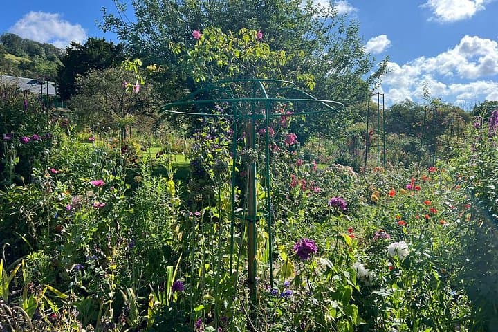 Giverny Monet House Half Day Private Tour from Paris — photo 14