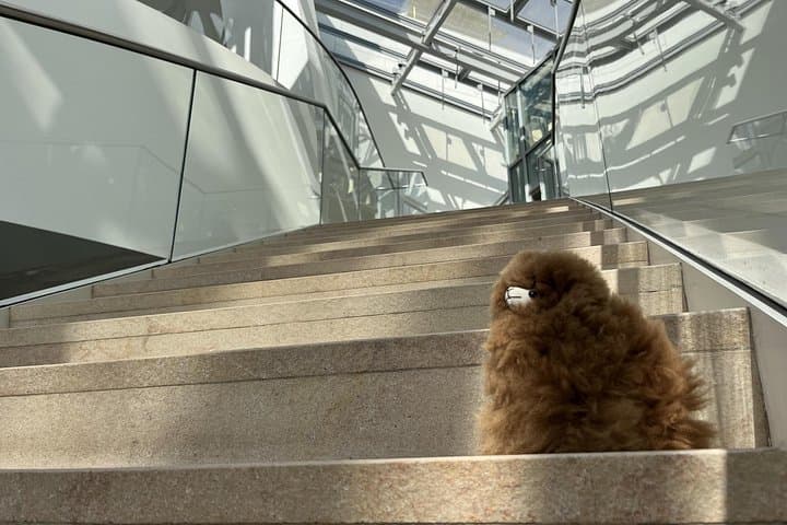 Fondation Louis Vuitton: Ticket Entry & Private Tour — photo 6