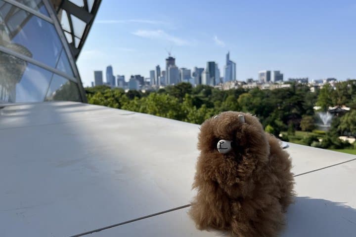 Fondation Louis Vuitton: Ticket Entry & Private Tour — photo 2