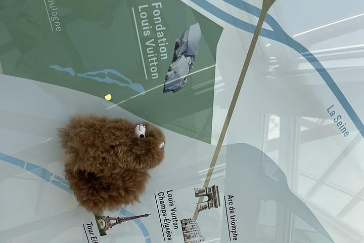 Fondation Louis Vuitton: Ticket Entry & Private Tour — photo 5