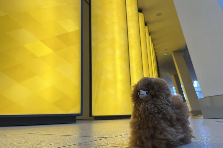 Fondation Louis Vuitton: Ticket Entry & Private Tour — photo 9