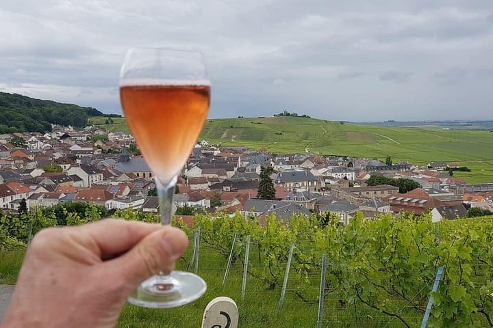Champagne Day Trip from Paris with 7 Tastings Prestigious Houses — photo 2