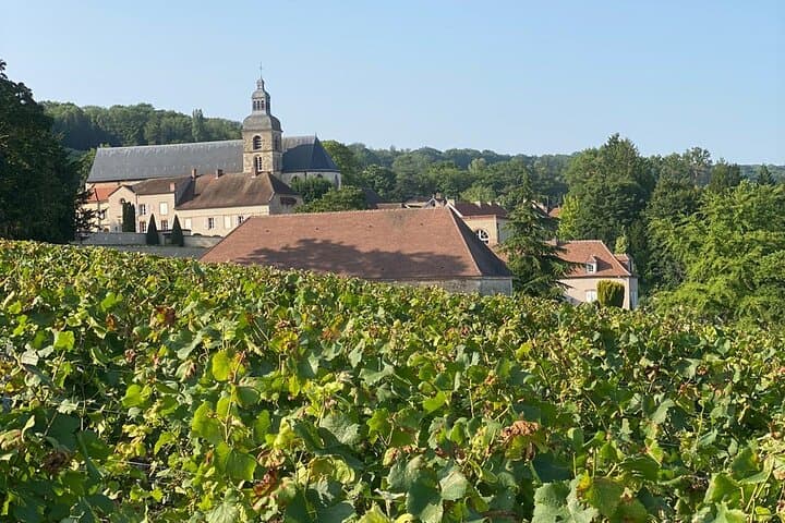 Champagne vineyards & cellars tour with Sommelier from Paris — photo 4