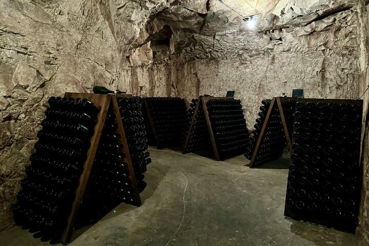 Champagne vineyards & cellars tour with Sommelier from Paris — photo 6
