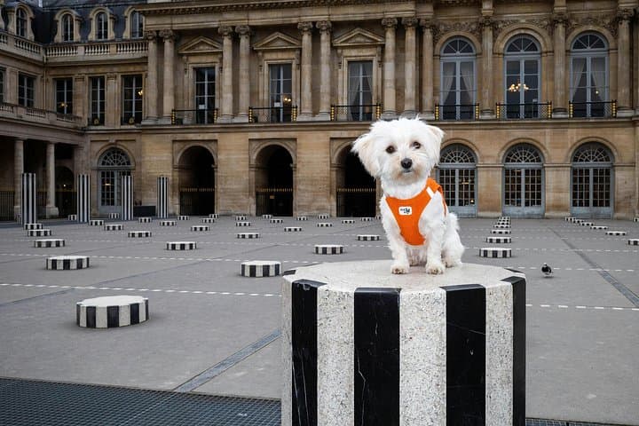 Amazing Colonne de Buren Photoshoot — photo 2